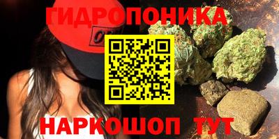 эйфоретик Кохма