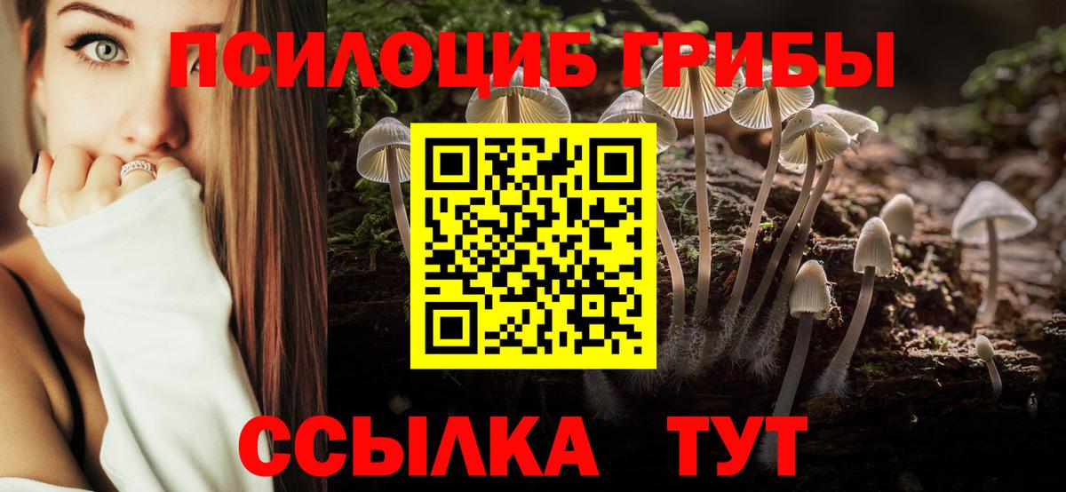Галлюциногенные грибы мицелий  Псилоцибиновые грибы ЛСД  Вход с VPN  Удомля 