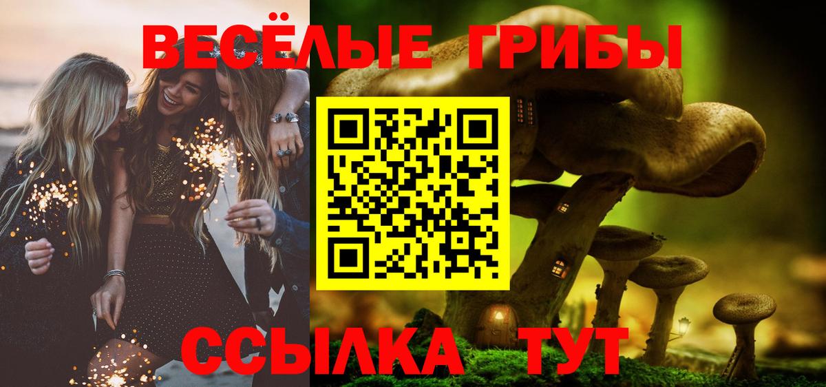 Псилоцибиновые грибы прущие грибы Удомля